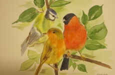 Familienspielenachmittag mit der Kita "Villa Naseweis"