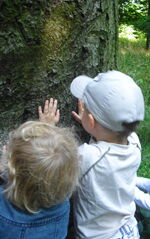 "Einstieg gut - alles gut" - Eingewöhnung in der Kita